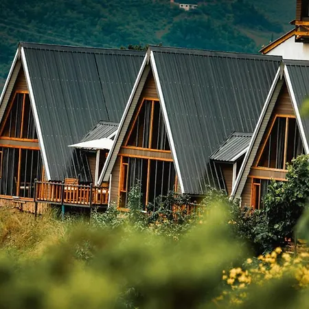 اكواخ خشبية للايجار اليومي Luxury tent Trabzon